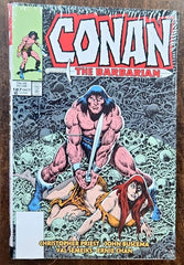 Conan the Barbarian Original Omnibus (DM) HC Vol 07 (MATURE) - DAMAGED | BD Cosmos