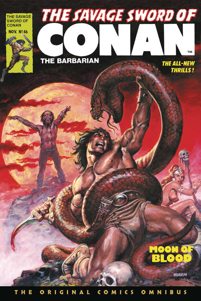 Savage Sword Of Conan Original Omnibus Regular Graphic Novel Volume 04 | BD Cosmos