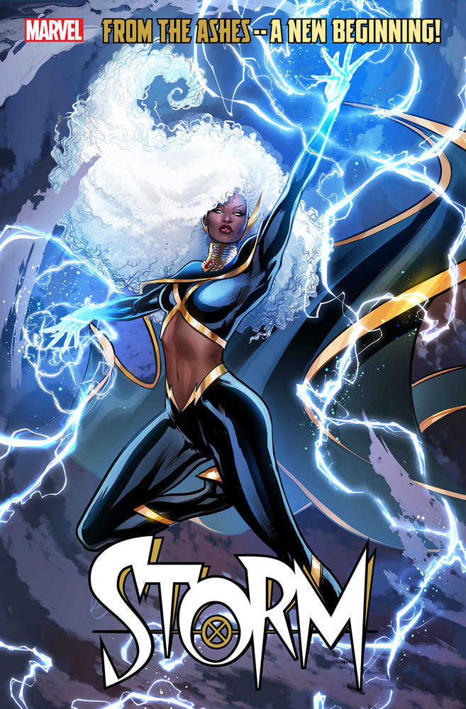 Storm #1 Lucas Werneck Variant | BD Cosmos