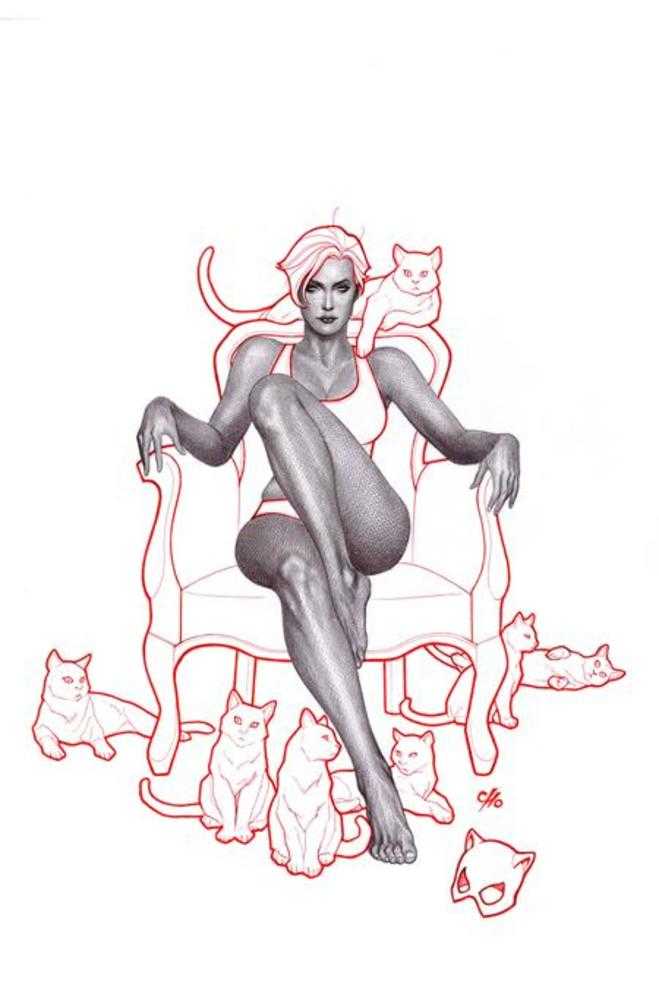 Catwoman #69 DC B Frank Cho Release 10/16/2024 | BD Cosmos