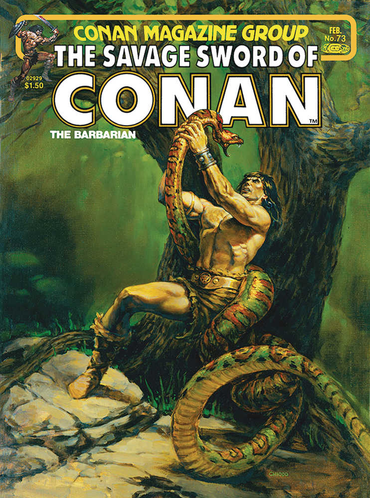 Savage Sword Of Conan Original Omnibus Direct Mkt Graphic Novel Volume 06 (Mature) | BD Cosmos