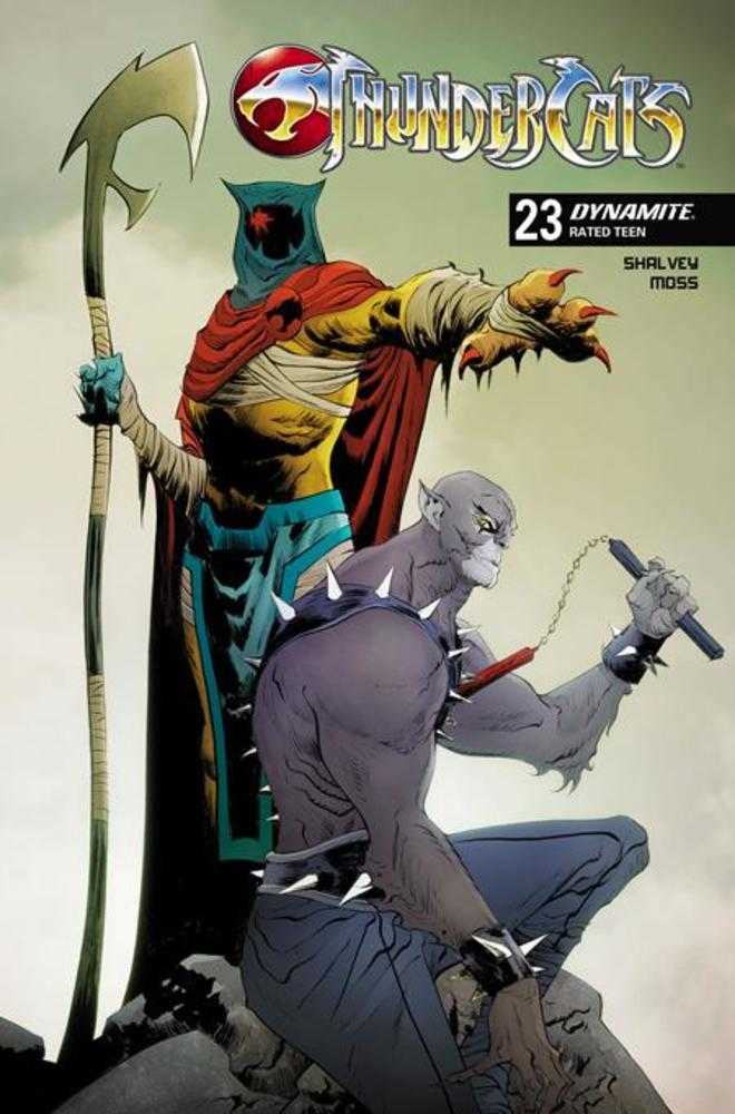 Thundercats #23 DYNAMITE C Jae Lee 01/28/2026 | BD Cosmos