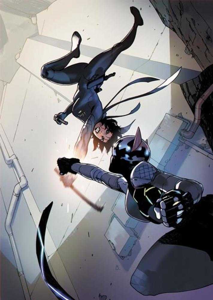 Absolute Catwoman #5 Of 6 DC A Bengal 11/11/2026 | BD Cosmos