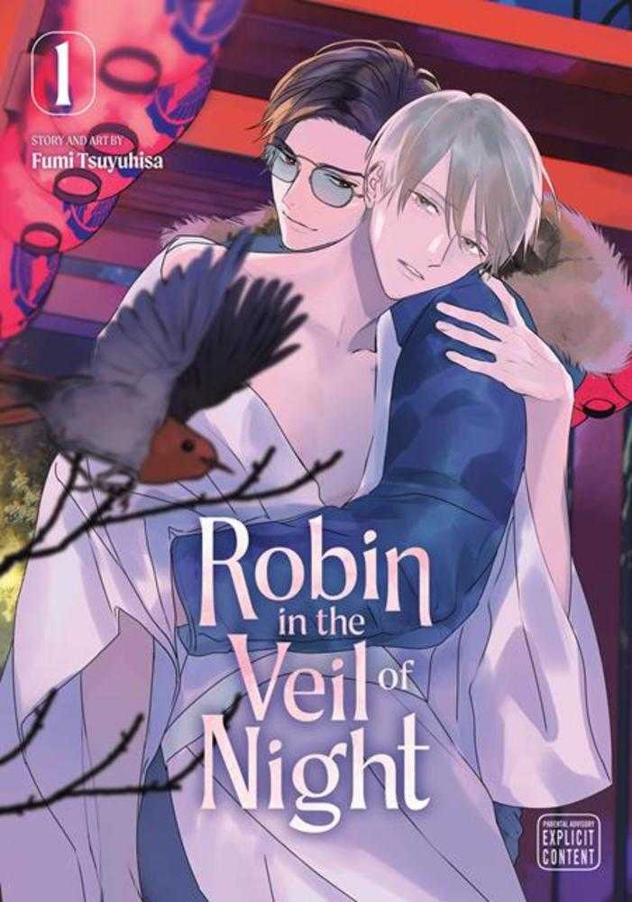 Robin In The Veil Of Night Vol. 01 | BD Cosmos