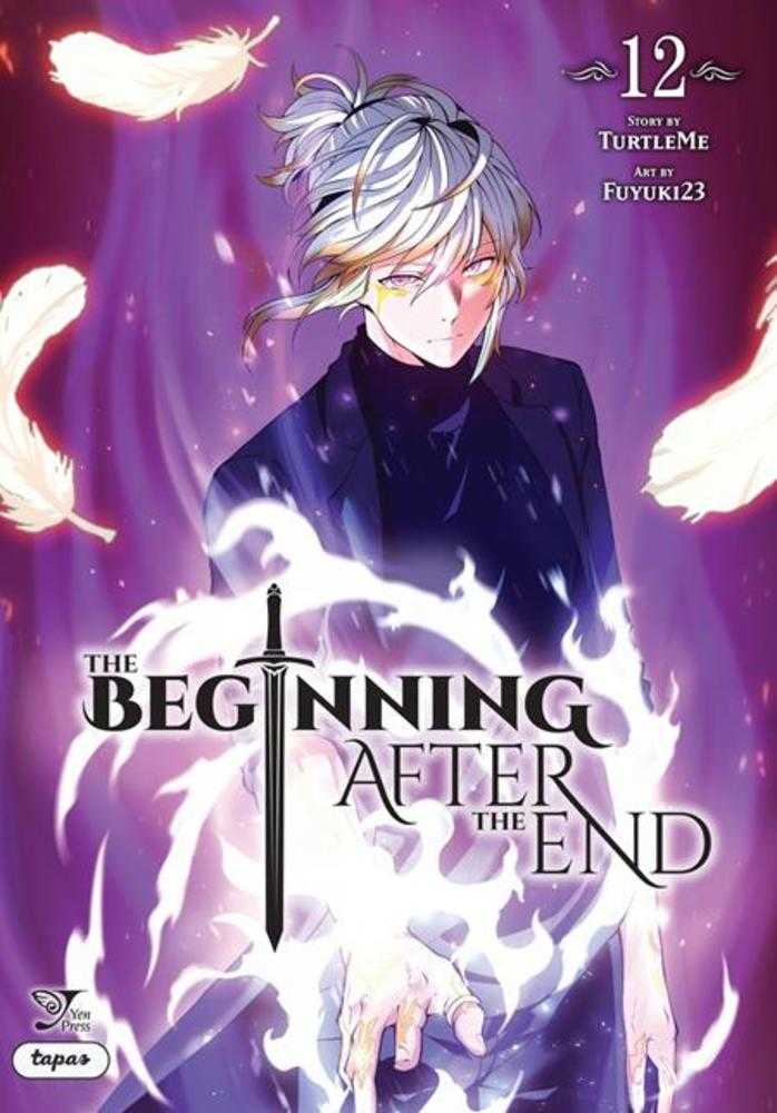 Beginning After The End Vol. 12 | BD Cosmos
