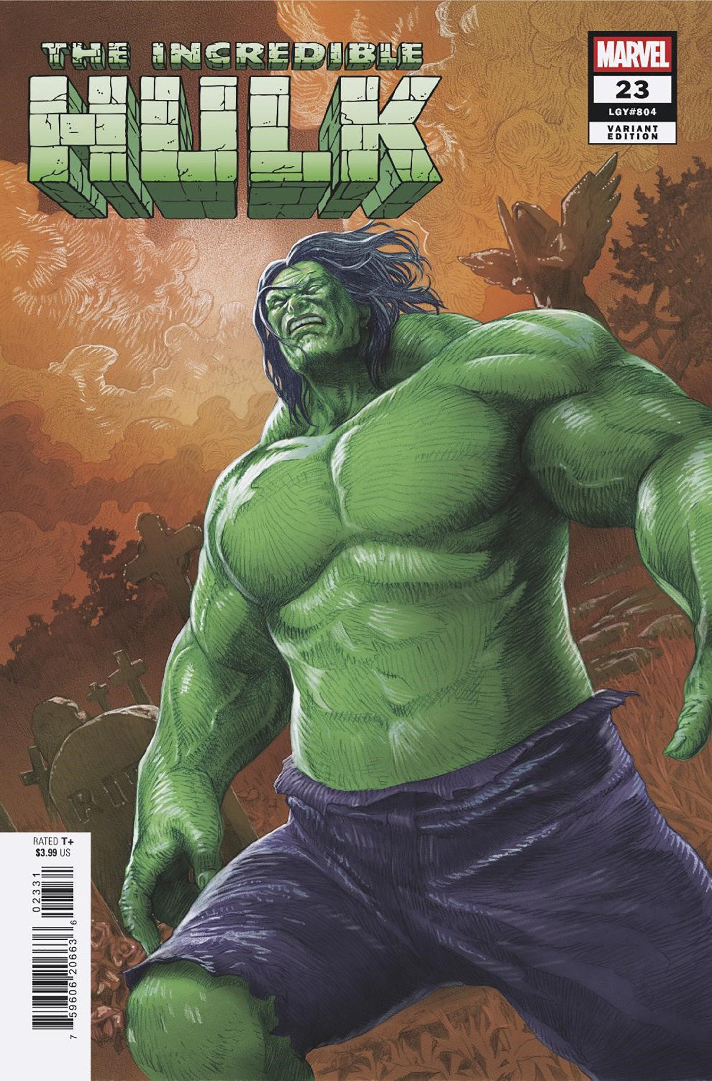 Incredible Hulk #23 Mitsuhiro Arita Variant | BD Cosmos