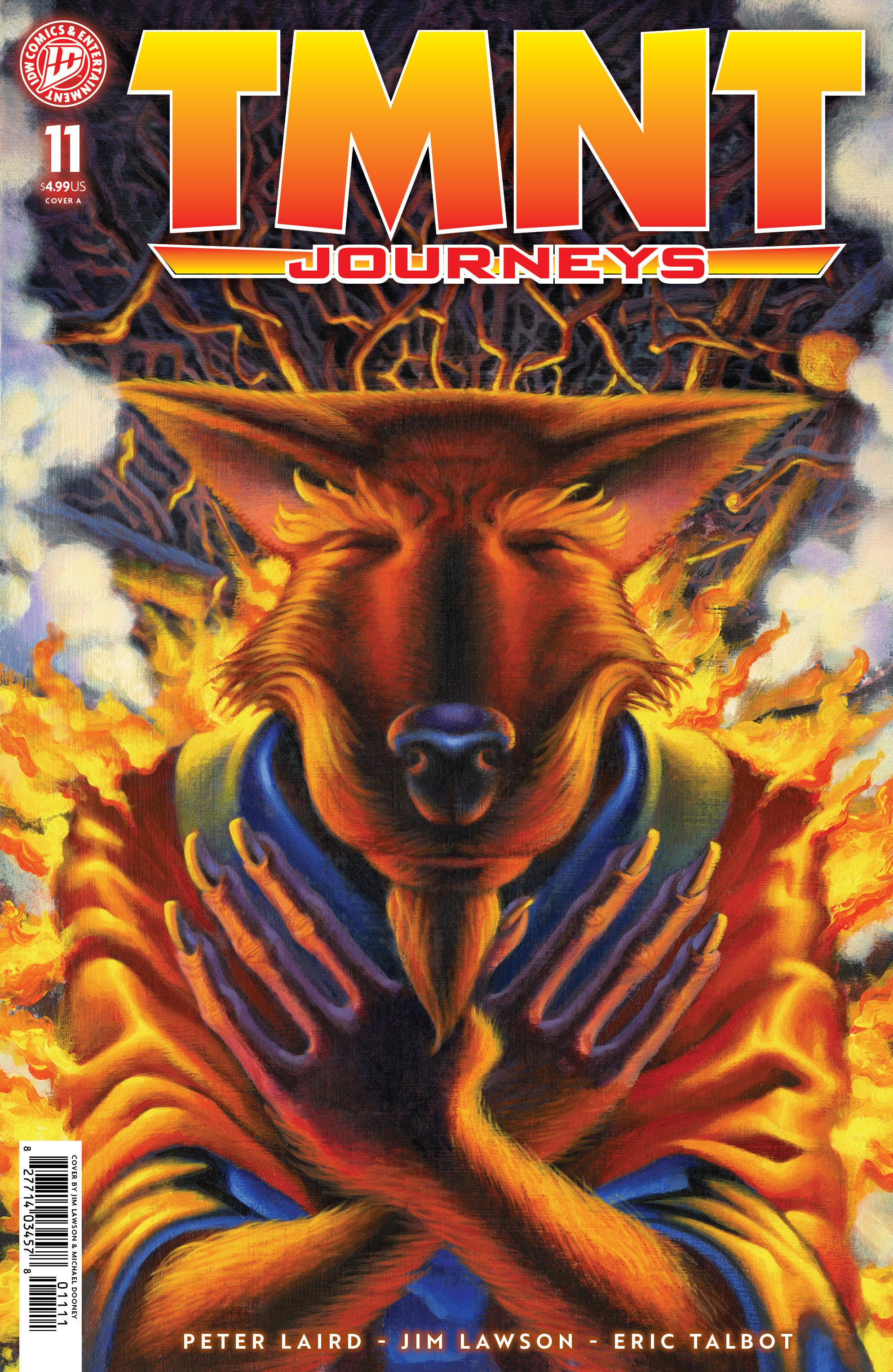 Teenage Mutant Ninja Turtles Journeys #11 IDW A Dooney & Lawson 07/01/2026 | BD Cosmos