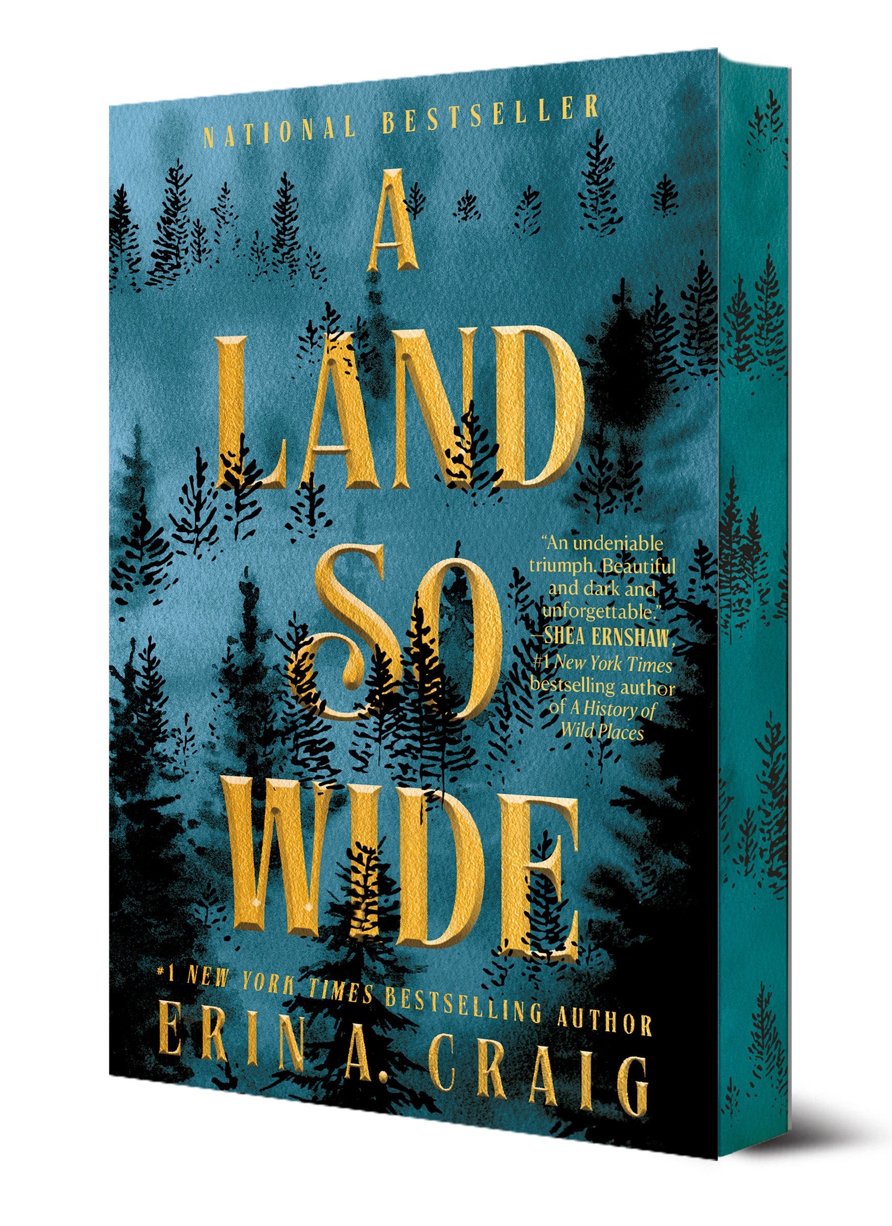 A Land So Wide | BD Cosmos