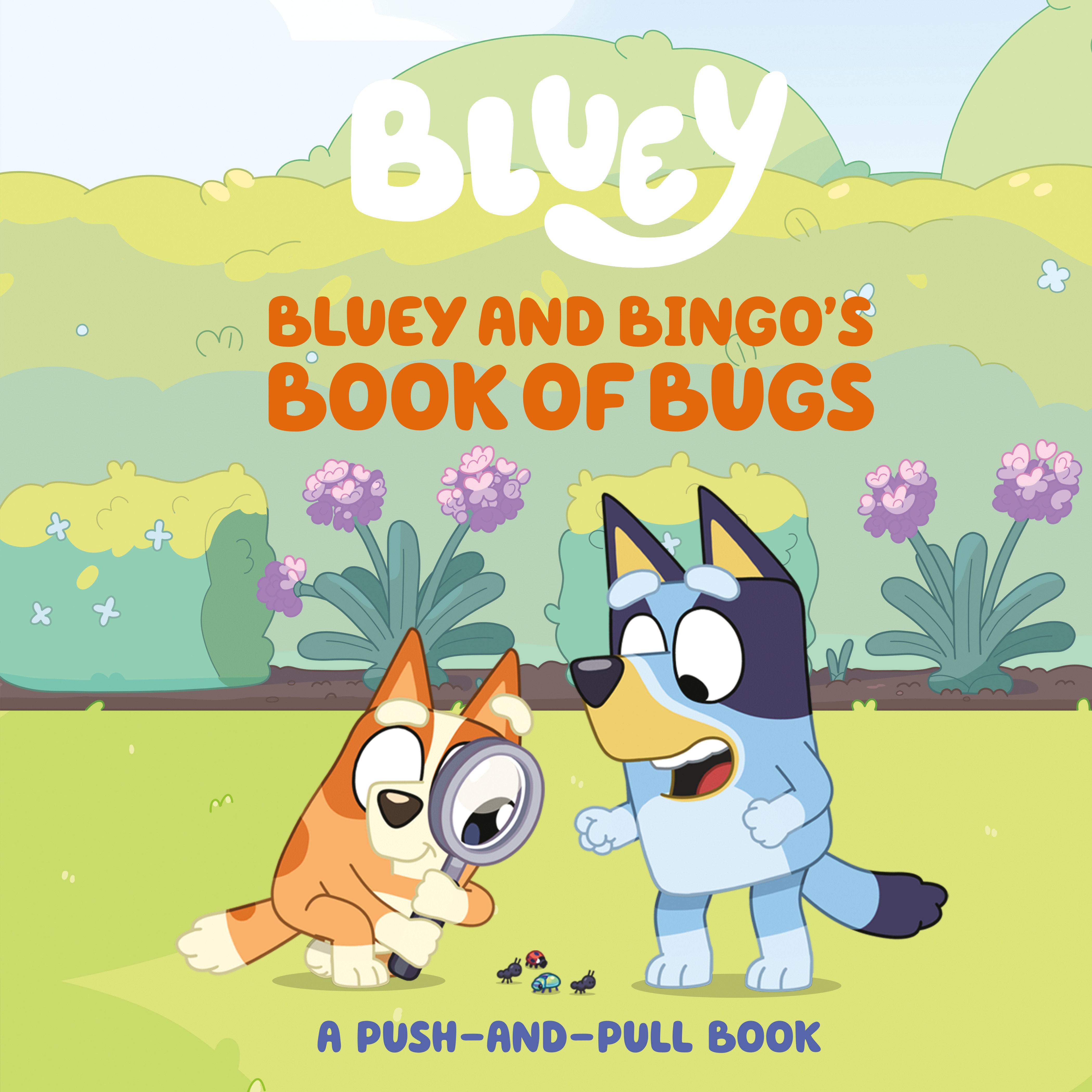 Bluey And Bingo'S Book Of Bugs | BD Cosmos