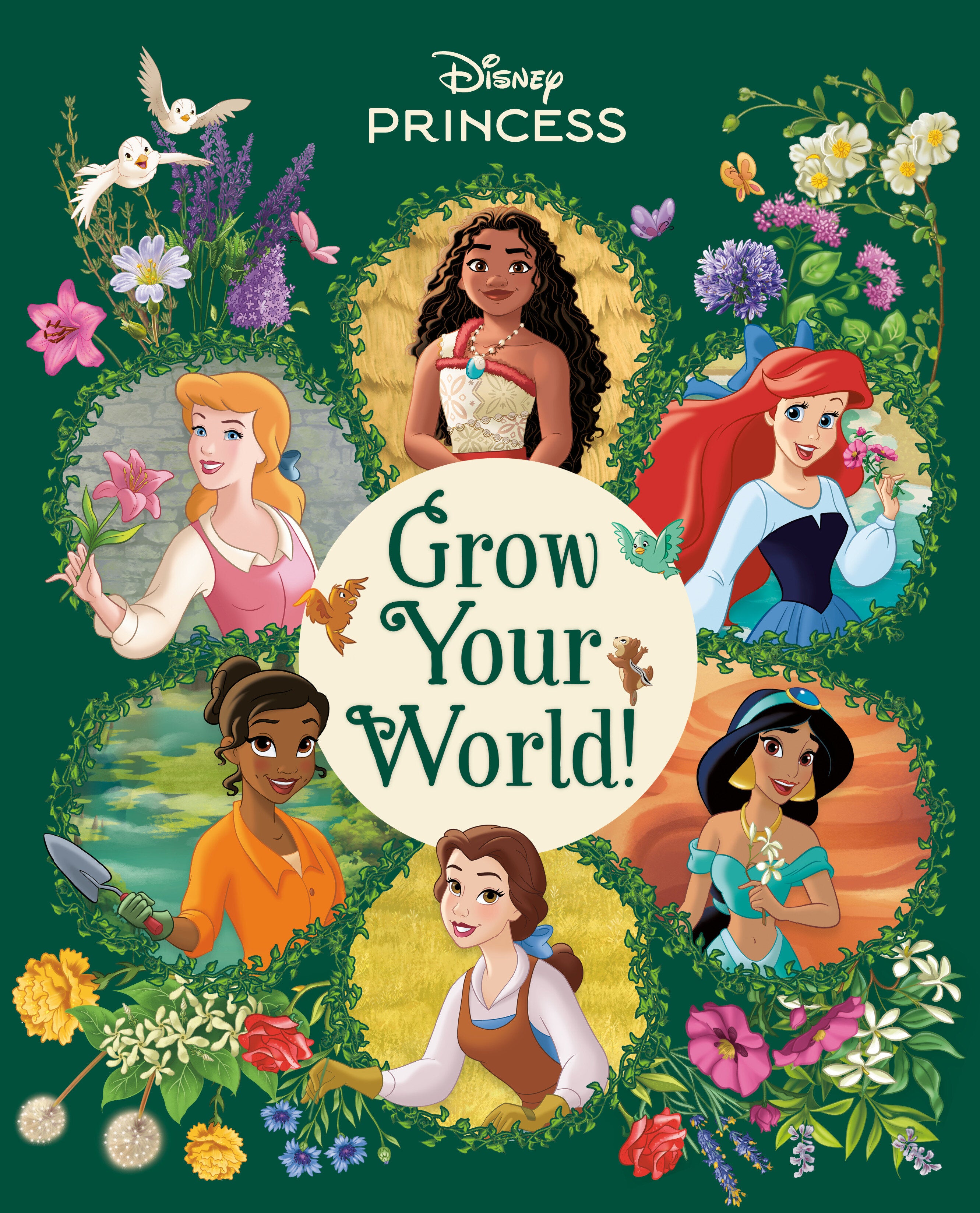 Grow Your World! (Disney Princess) - Release Estimate 01/27/2027 | BD Cosmos