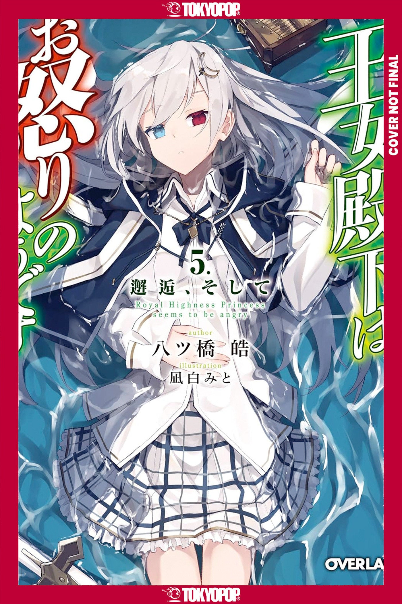 Her Royal Highness Seems To Be Angry, Volume 5 (Light Novel) | BD Cosmos