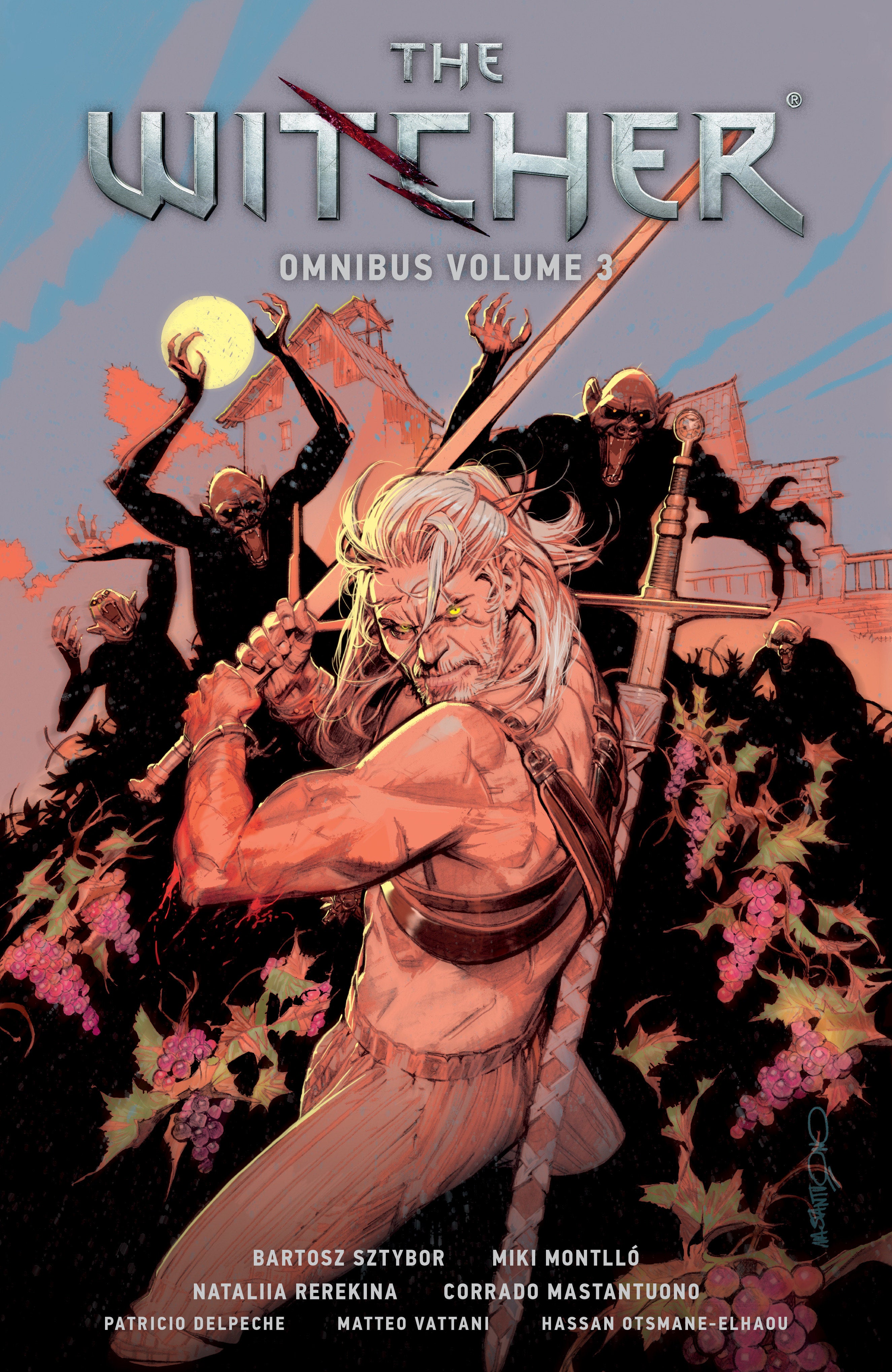 The Witcher Omnibus Volume 3 | BD Cosmos