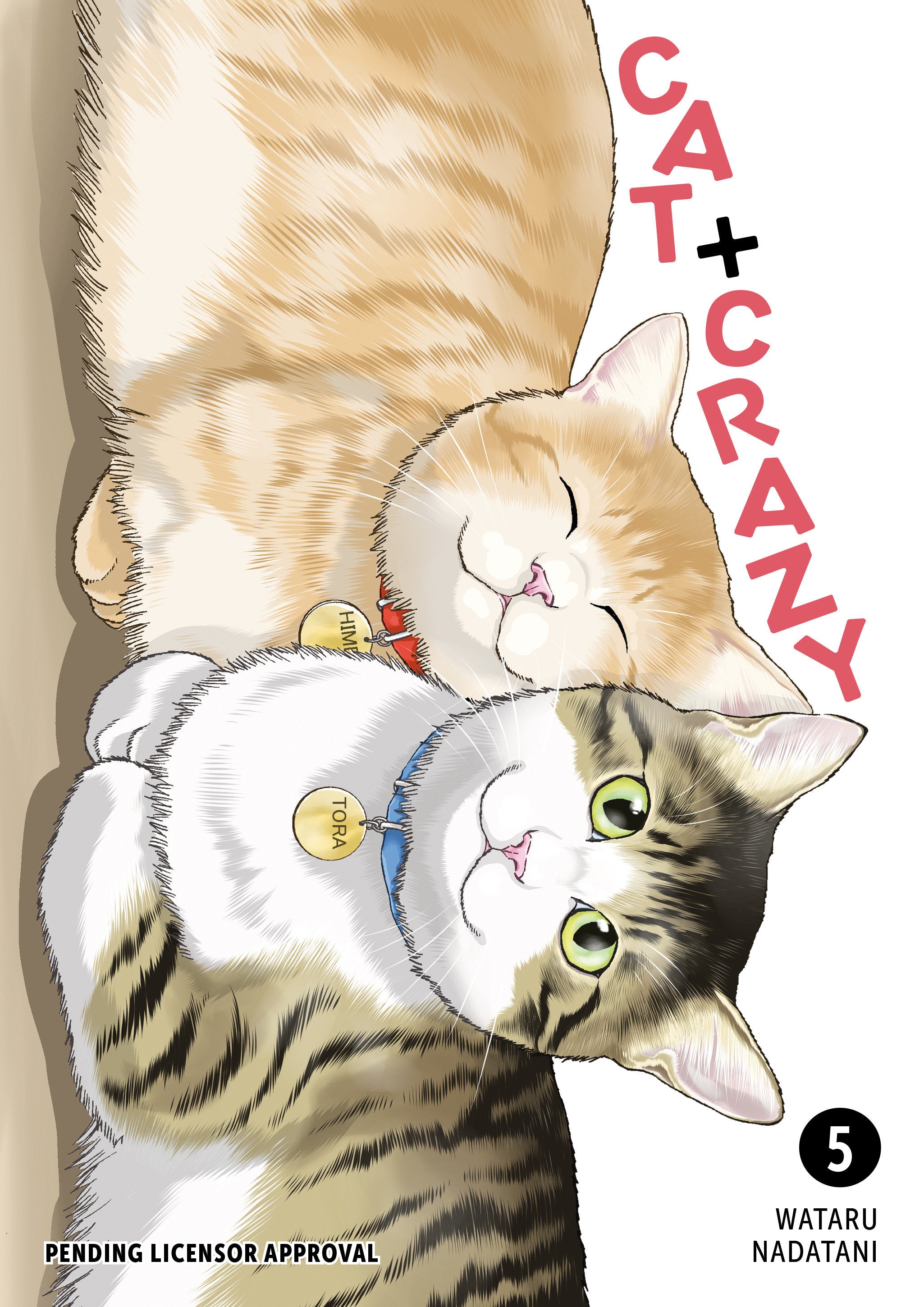 Cat + Crazy Volume 5 | BD Cosmos