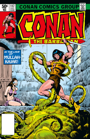 Conan the Barbarian Original Omnibus Reg Edition Graphic Novel Volume 05 | BD Cosmos