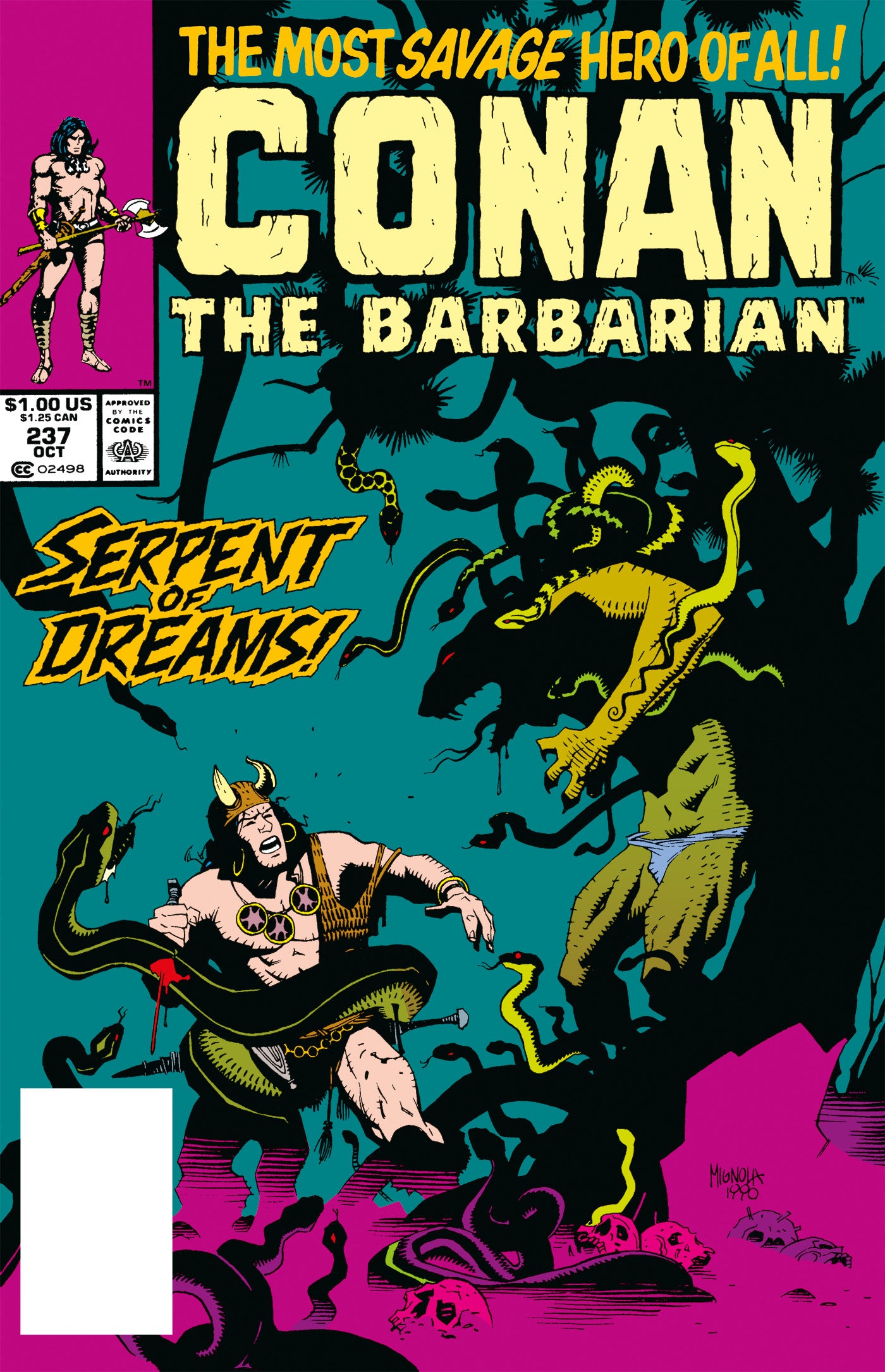Conan The Barbarian The Original Comics Omnibus Hardcover Volume 09 Direct Market Edition Barry Windsor Smith Cover (Mature) | BD Cosmos