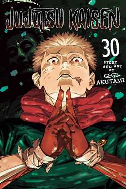 Jujutsu Kaisen, Vol. 30 | BD Cosmos