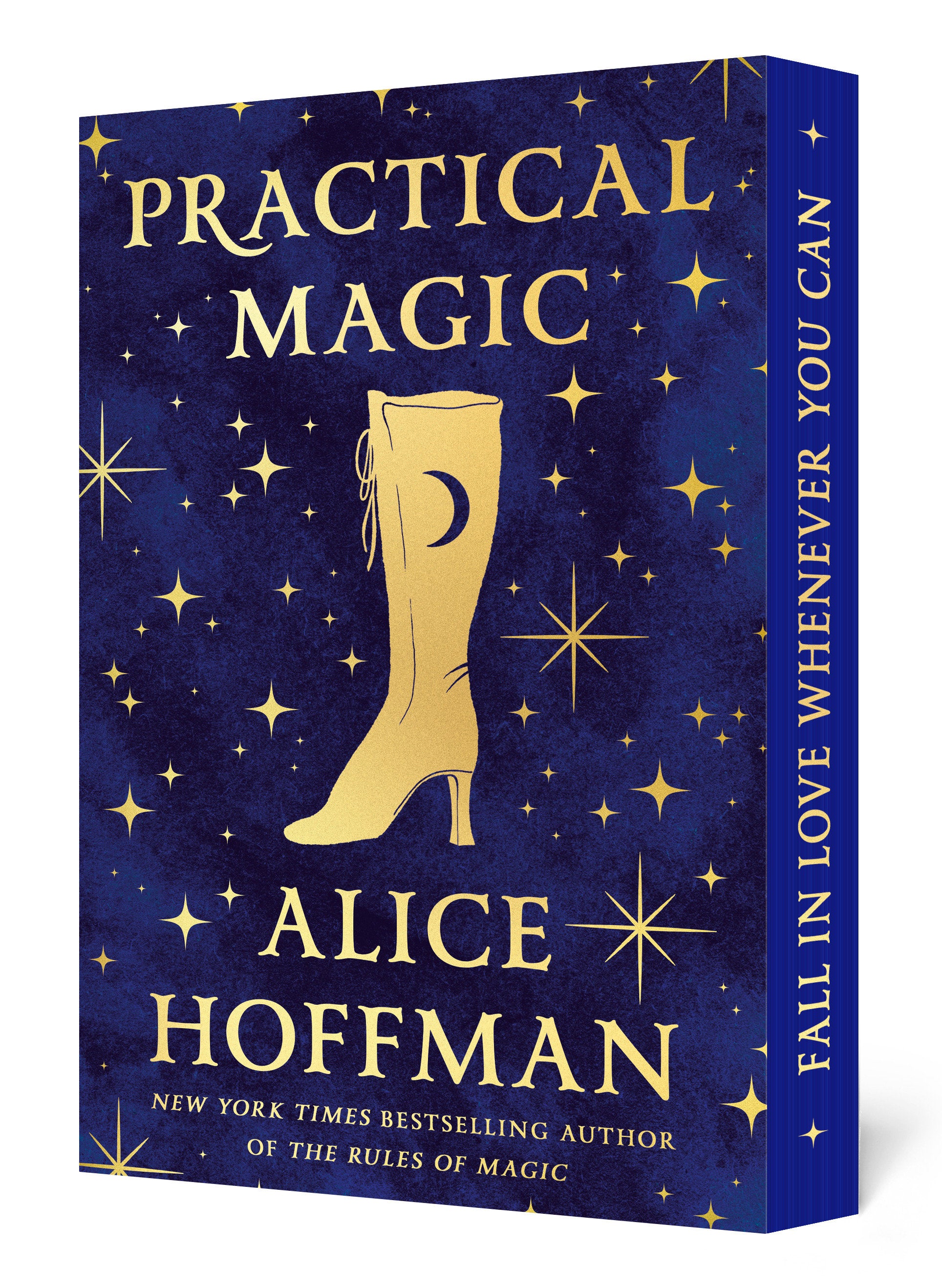 Practical Magic: Deluxe Edition | BD Cosmos