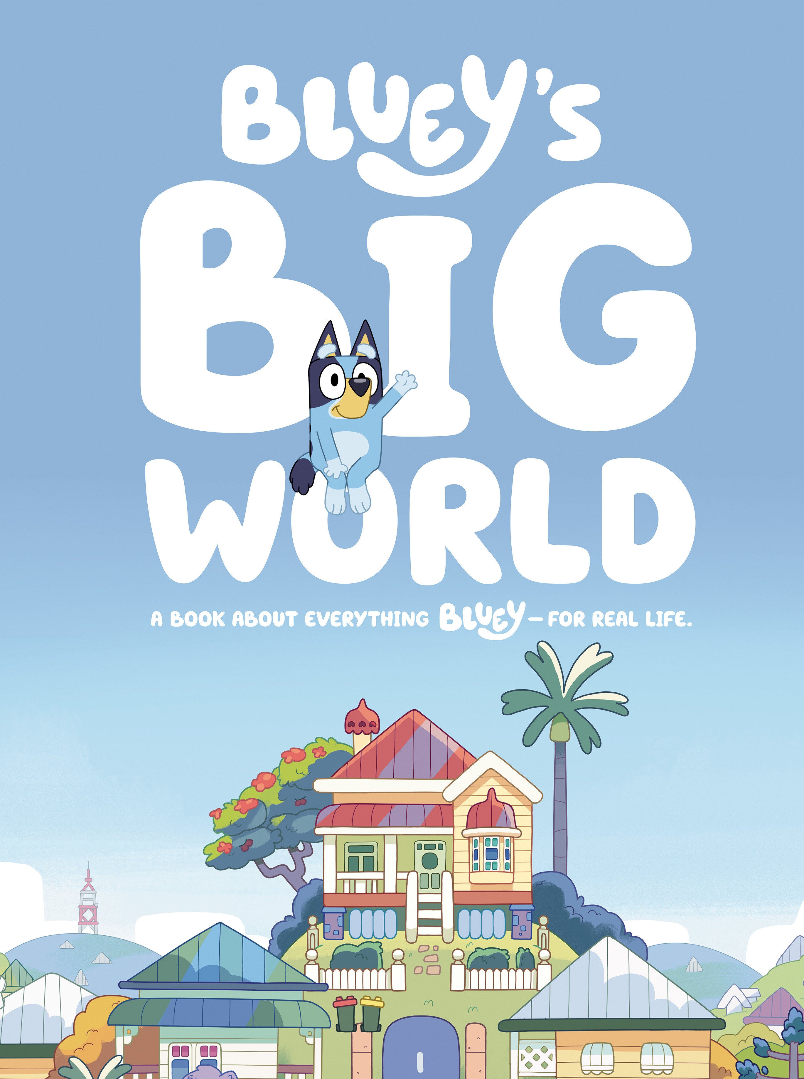 Bluey's Big World | BD Cosmos
