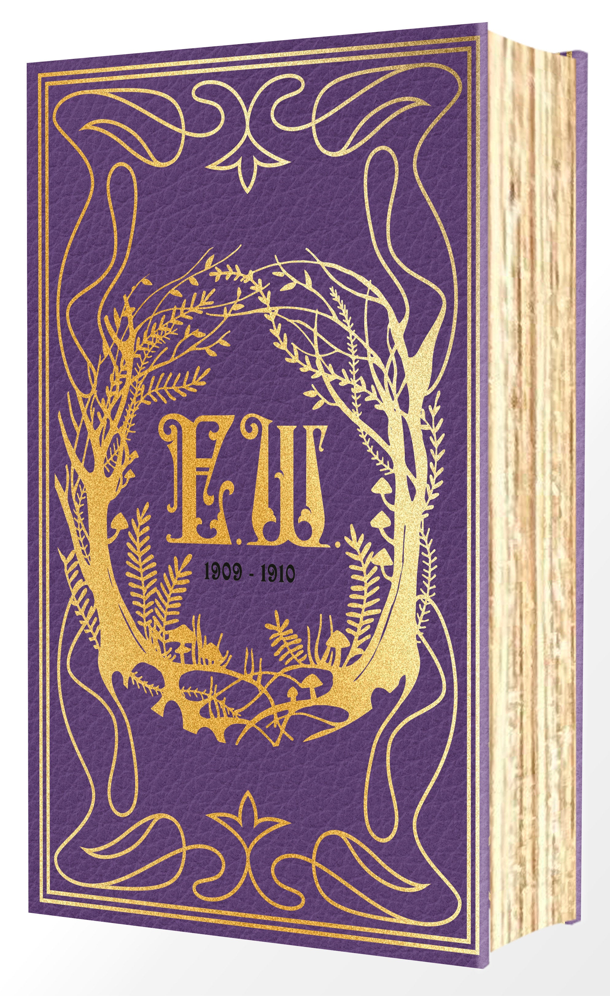 Emily Wilde's Encyclopaedia Of Faeries (Deluxe Edition) | BD Cosmos