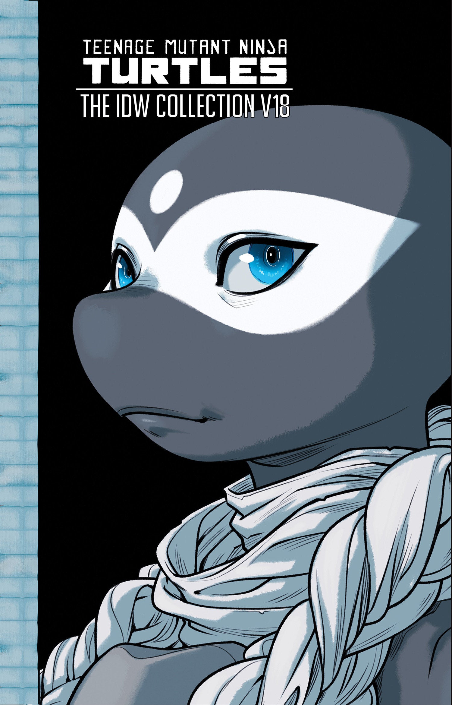 Teenage Mutant Ninja Turtles The IDW Collection, Volume 18 | BD Cosmos