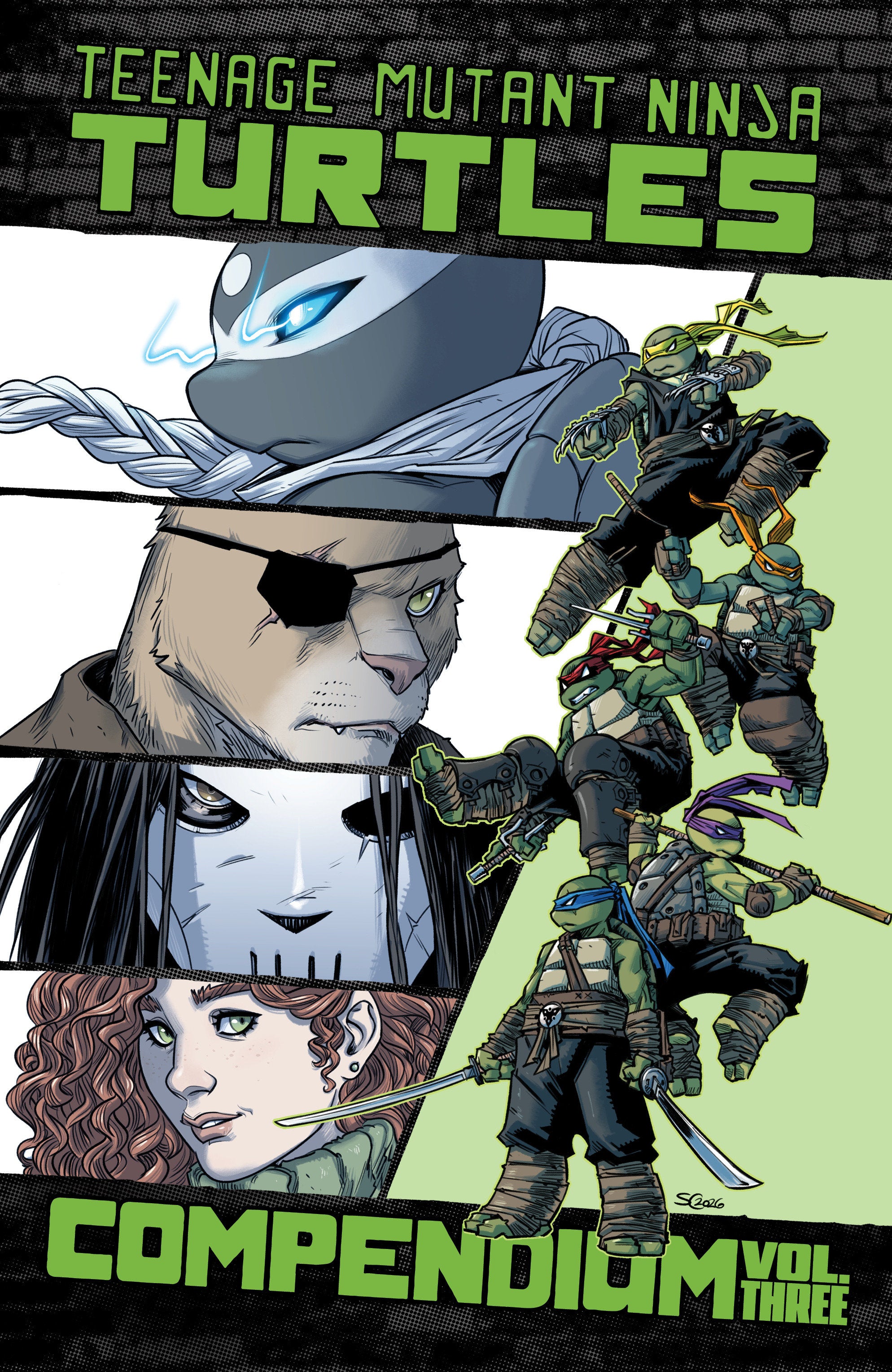 Teenage Mutant Ninja Turtles: Ongoing Compendium, Volume. 3 | BD Cosmos