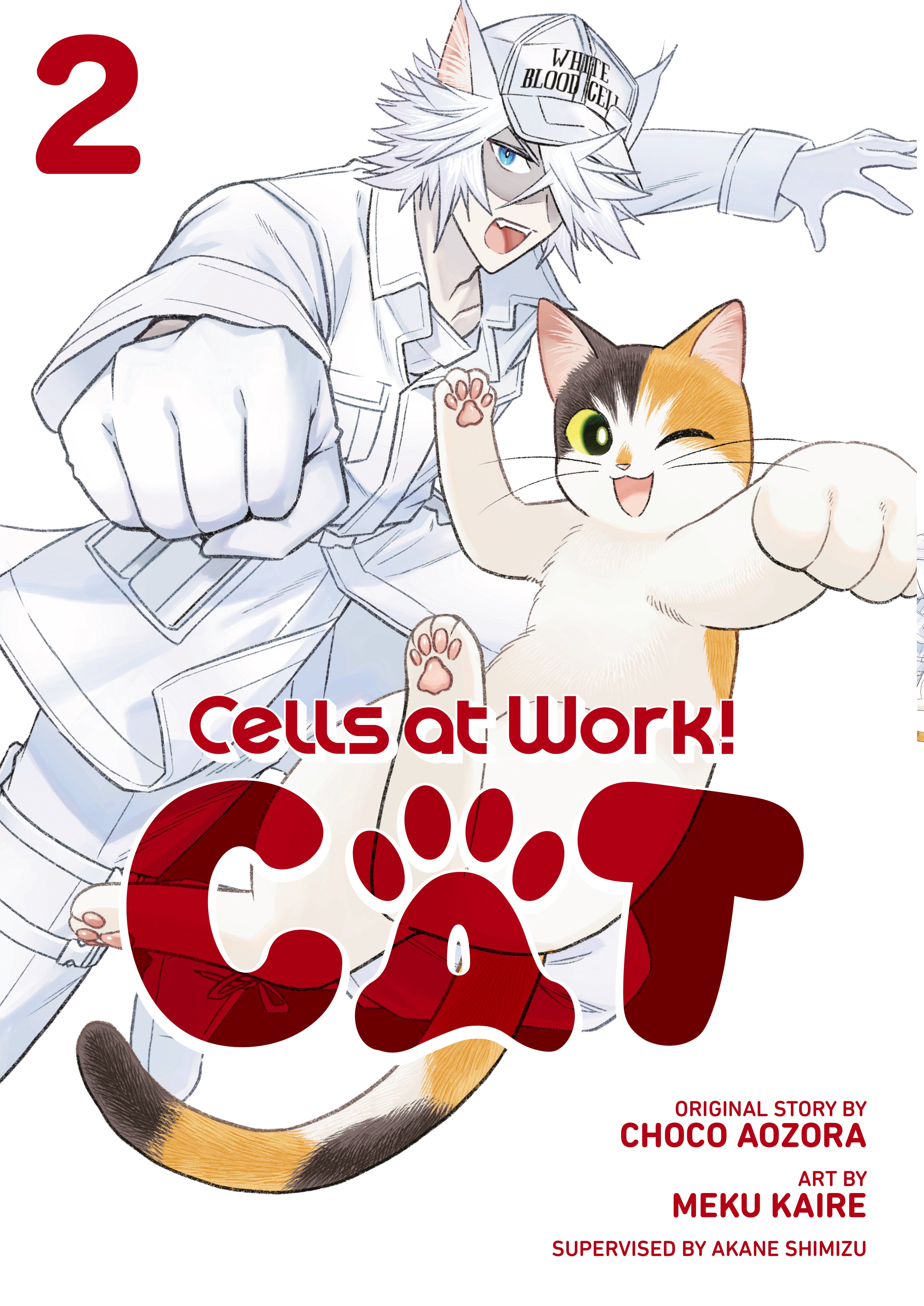Cells At Work! Cat 2 | BD Cosmos