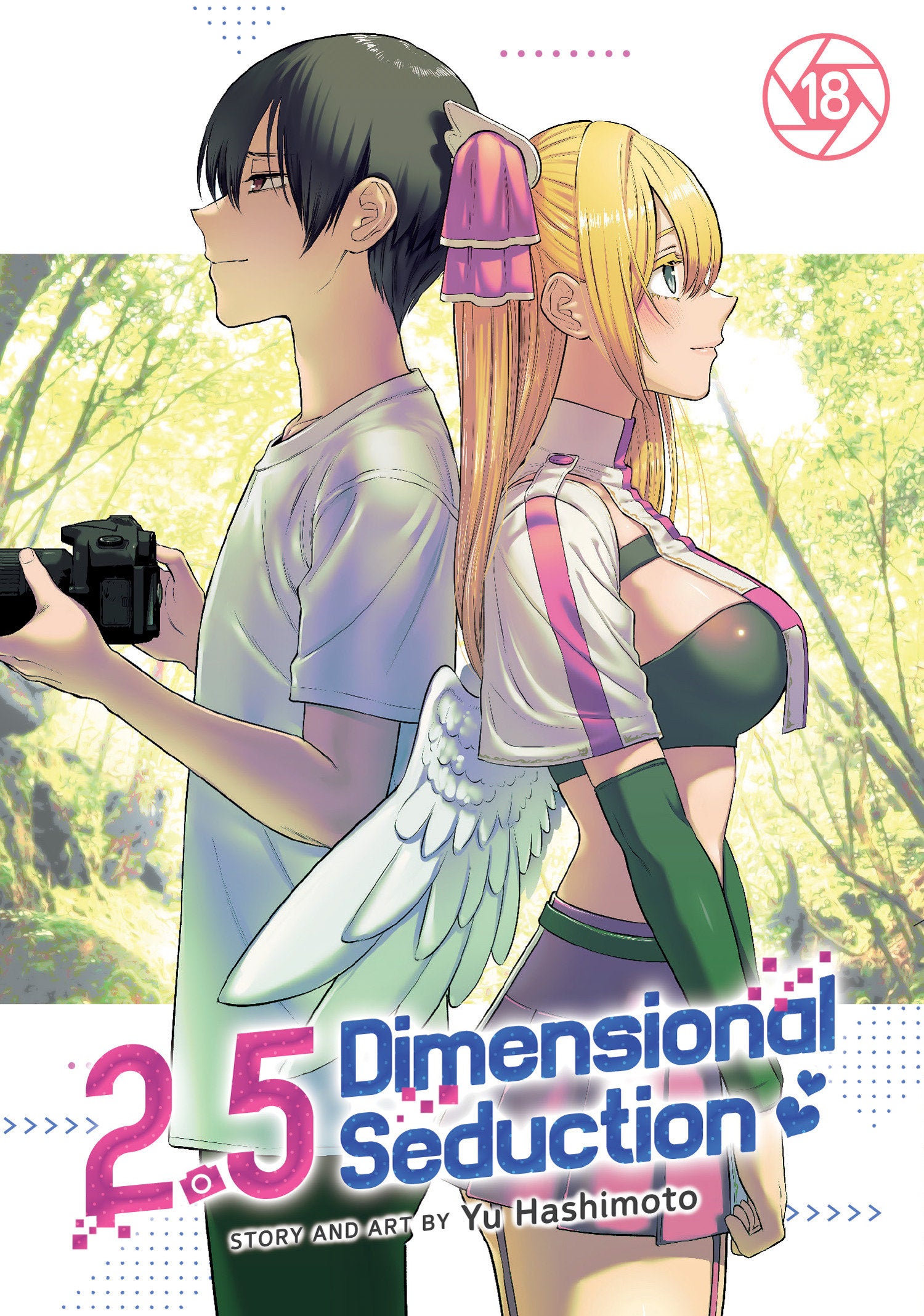 2.5 Dimensional Seduction Volume. 18 | BD Cosmos