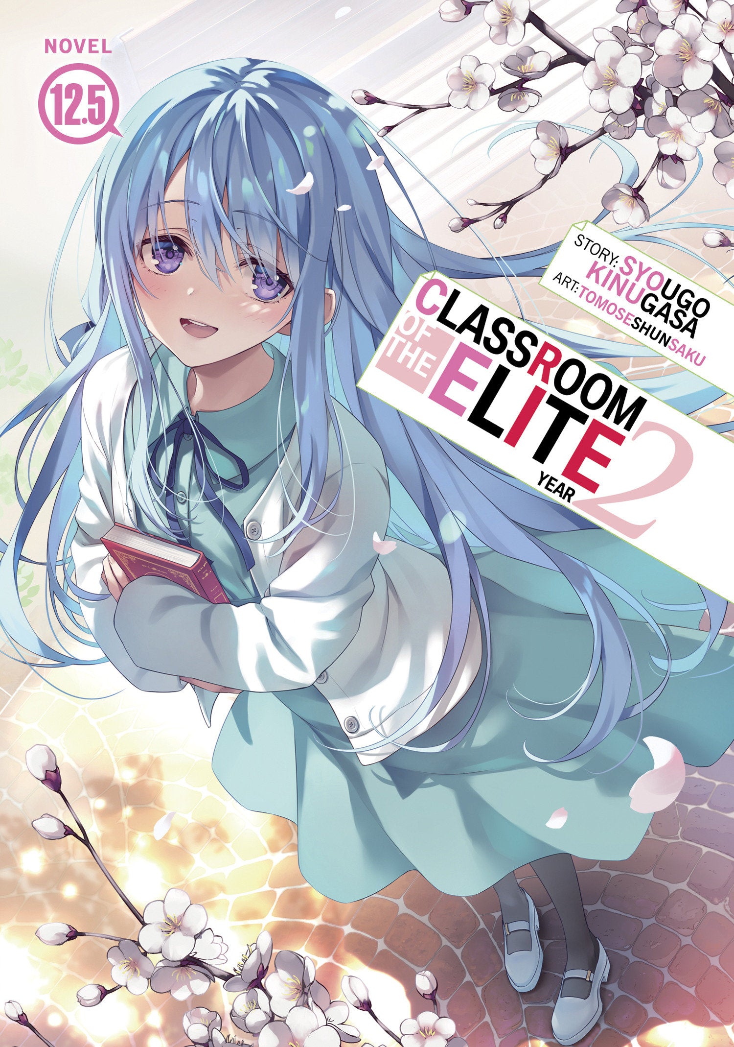Classroom Of The Elite: Year 2 (Light Novel) Volume. 12.5 | BD Cosmos