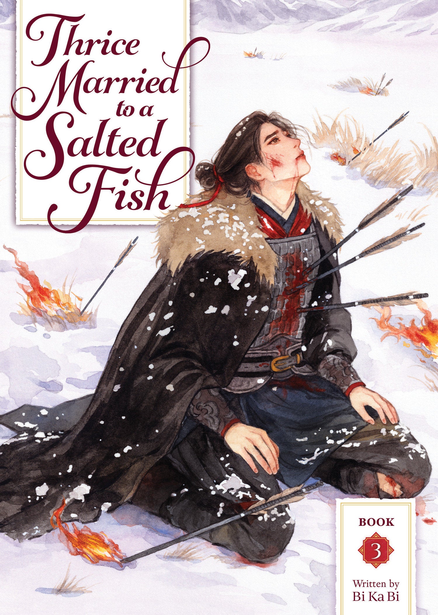 Thrice Married To A Salted Fish (Novel) Volume. 3 | BD Cosmos