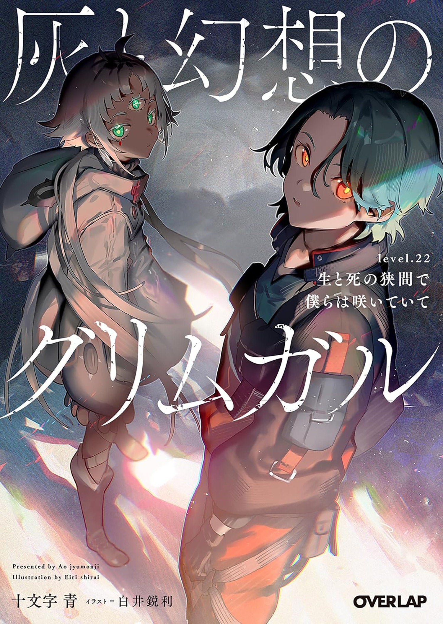 Grimgar of Fantasy and Ash (Light Novel) Vol. 22 | BD Cosmos