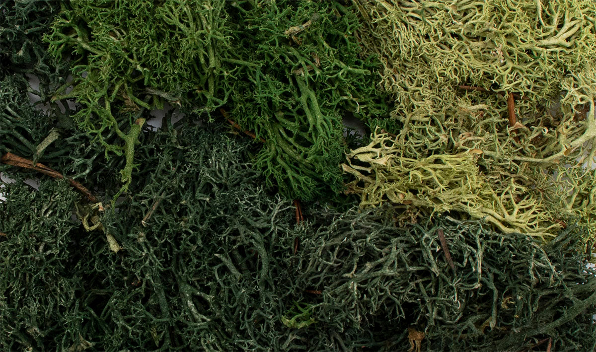 ALL GAME TERRAIN - SUMMER MIX EZ' BUSHES | BD Cosmos