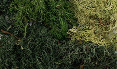 ALL GAME TERRAIN - SUMMER MIX EZ' BUSHES | BD Cosmos