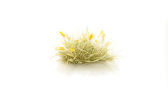 ALL GAME TERRAIN - YELLOW SEEDS TUFTS | BD Cosmos