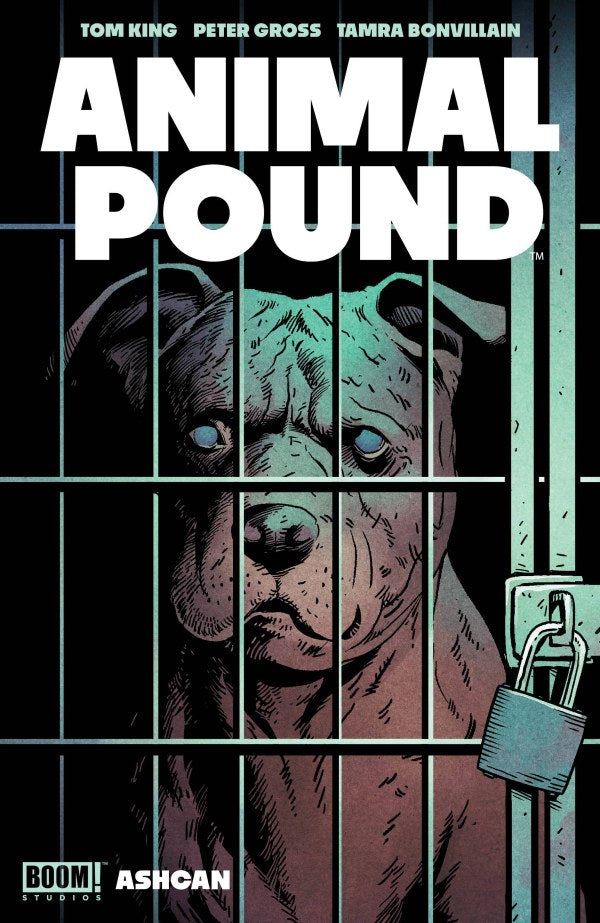 Animal Pound Ashcan #1 BOOM! A Gross 11/15/2023 | BD Cosmos