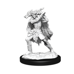 D&D  MINIS: WV15 WINTER AND SPRING ELADRIN | BD Cosmos