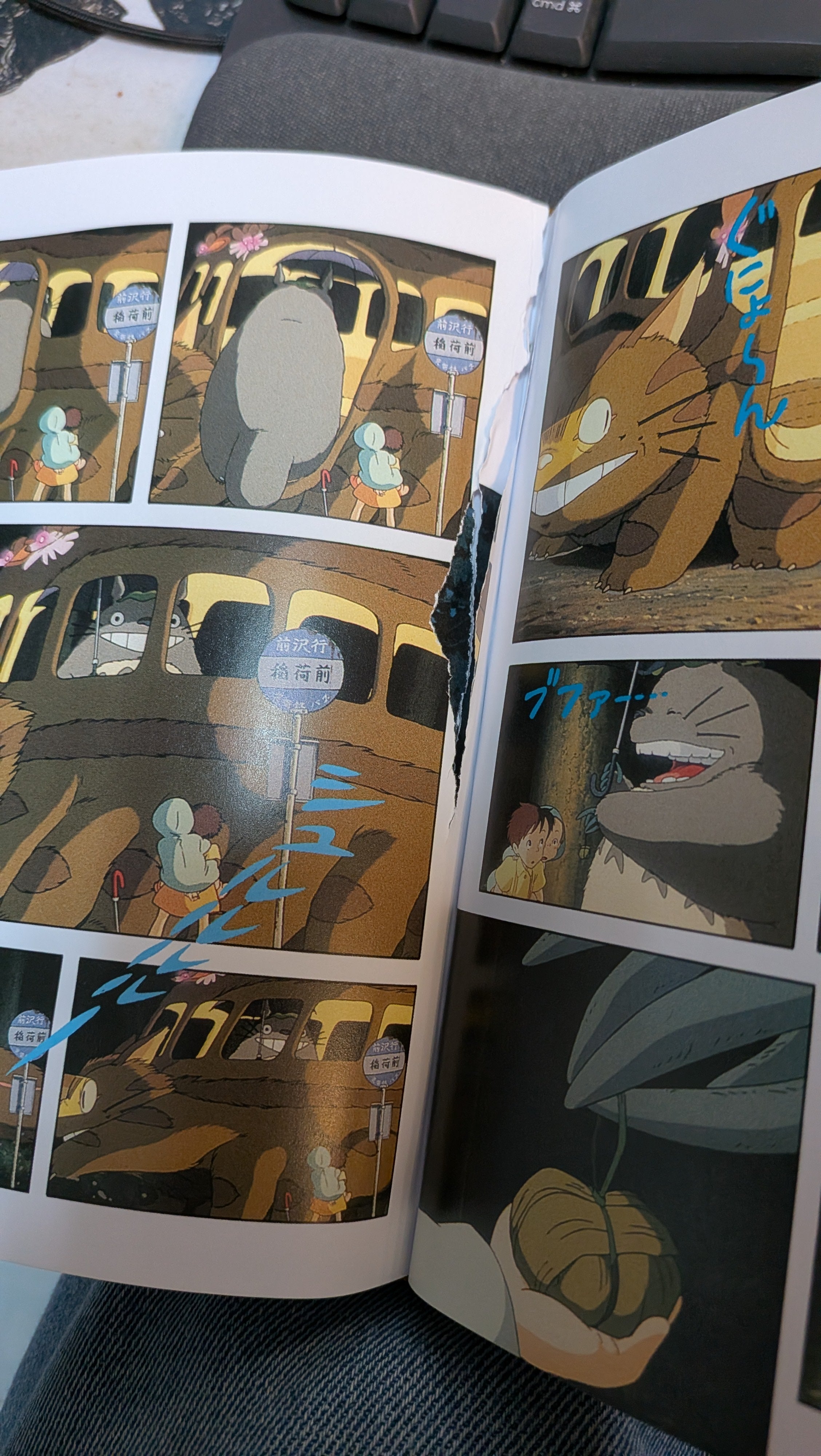 My Neighbor Totoro All-In-One Edition Graphic Novel - Defective Copy | BD Cosmos