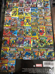 Black Panther Early Marvel Years Omnibus HC Vol.01 DM - Used | BD Cosmos