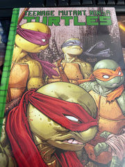 Teenage Mutant Ninja Turtles: IDW Sourcebook - DAMAGED | BD Cosmos