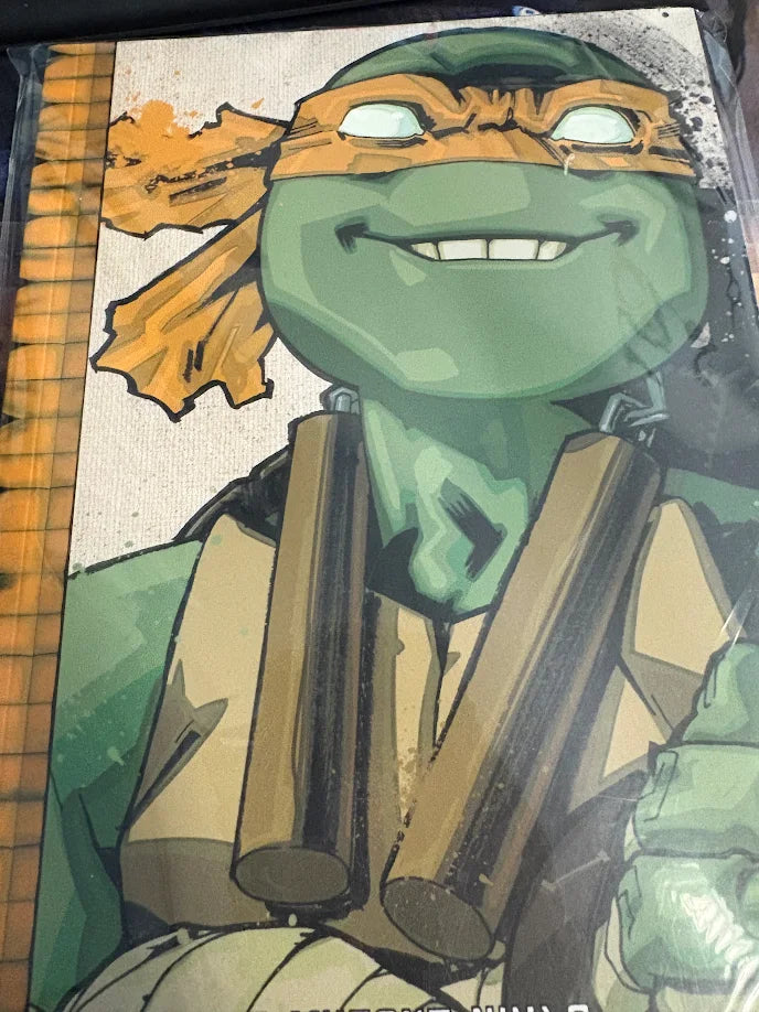 Teenage Mutant Ninja Turtles Vol7 - Damaged | BD Cosmos