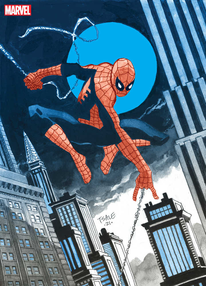 Jeph Loeb Tim Sale Spider-Man Gallery Edition Hardcover Direct Market Variant | BD Cosmos