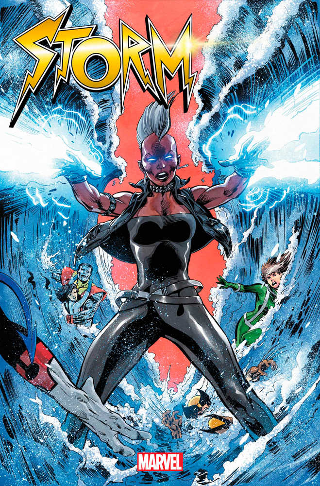 Storm #5 (Of 5) | BD Cosmos