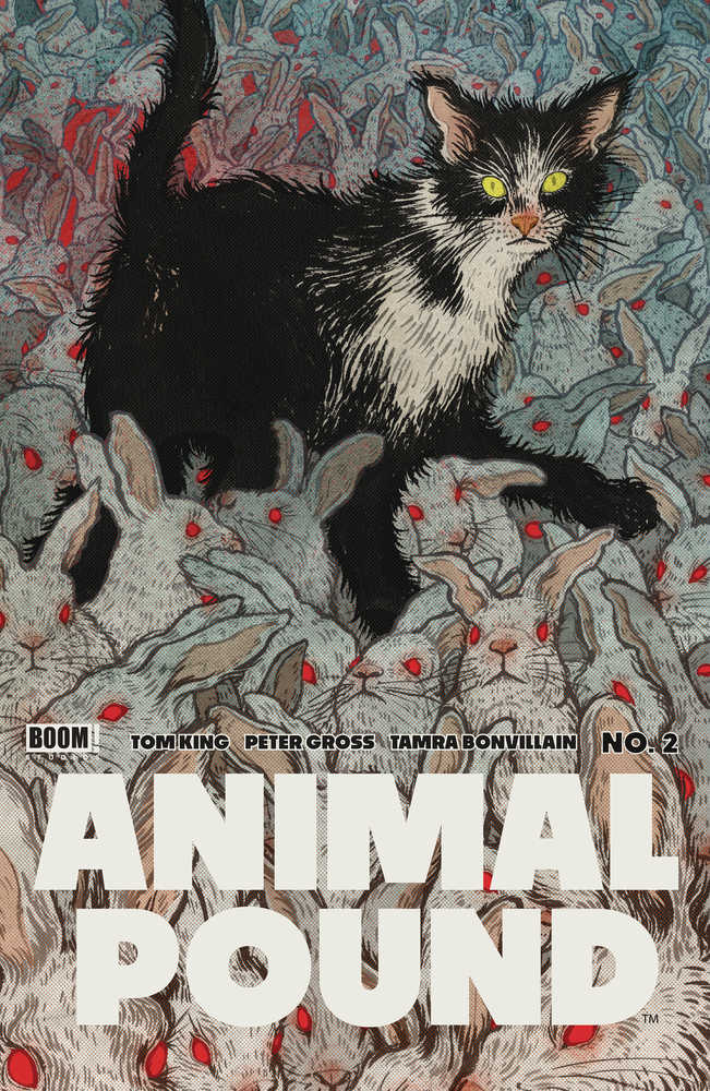 Animal Pound #2 Boom! B Shimizu 02/21/2024 | BD Cosmos