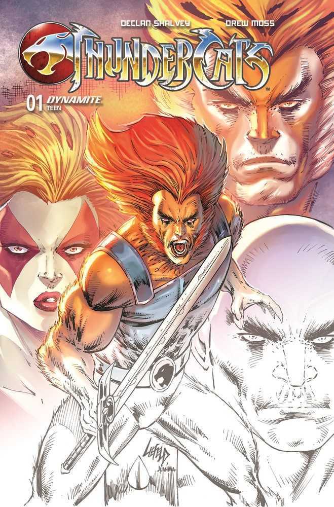 Thundercats #1 2nd Print Dynamite A Liefeld 03/13/2024 | BD Cosmos