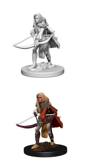 PF MINIS: HUMAN FEMALE FIGHTER | BD Cosmos