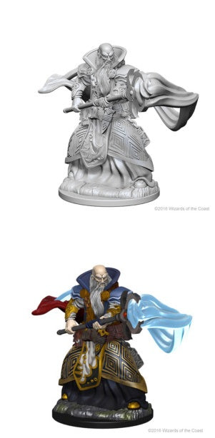 D&D MINIS: HUMAN MALE WIZARD | BD Cosmos