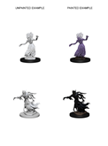 D&D MINIS: WRAITH AND SPECTER | BD Cosmos