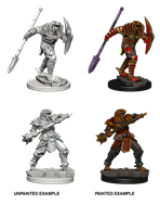 D&D MINIS: DRAGONBORN MALE FIGHTER WITH SPEAR | BD Cosmos