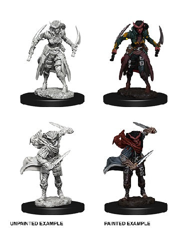D&D MINIS: TIEFLING FEMALE ROGUE | BD Cosmos