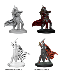 PF MINIS: FEMALE KNIGHTS/GRAY MAIDEN | BD Cosmos