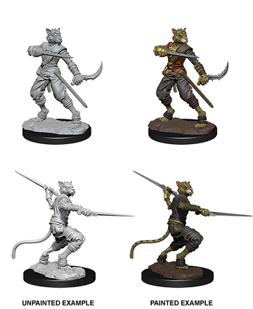 D&D MINIS: MALE TABAXI ROGUE | BD Cosmos